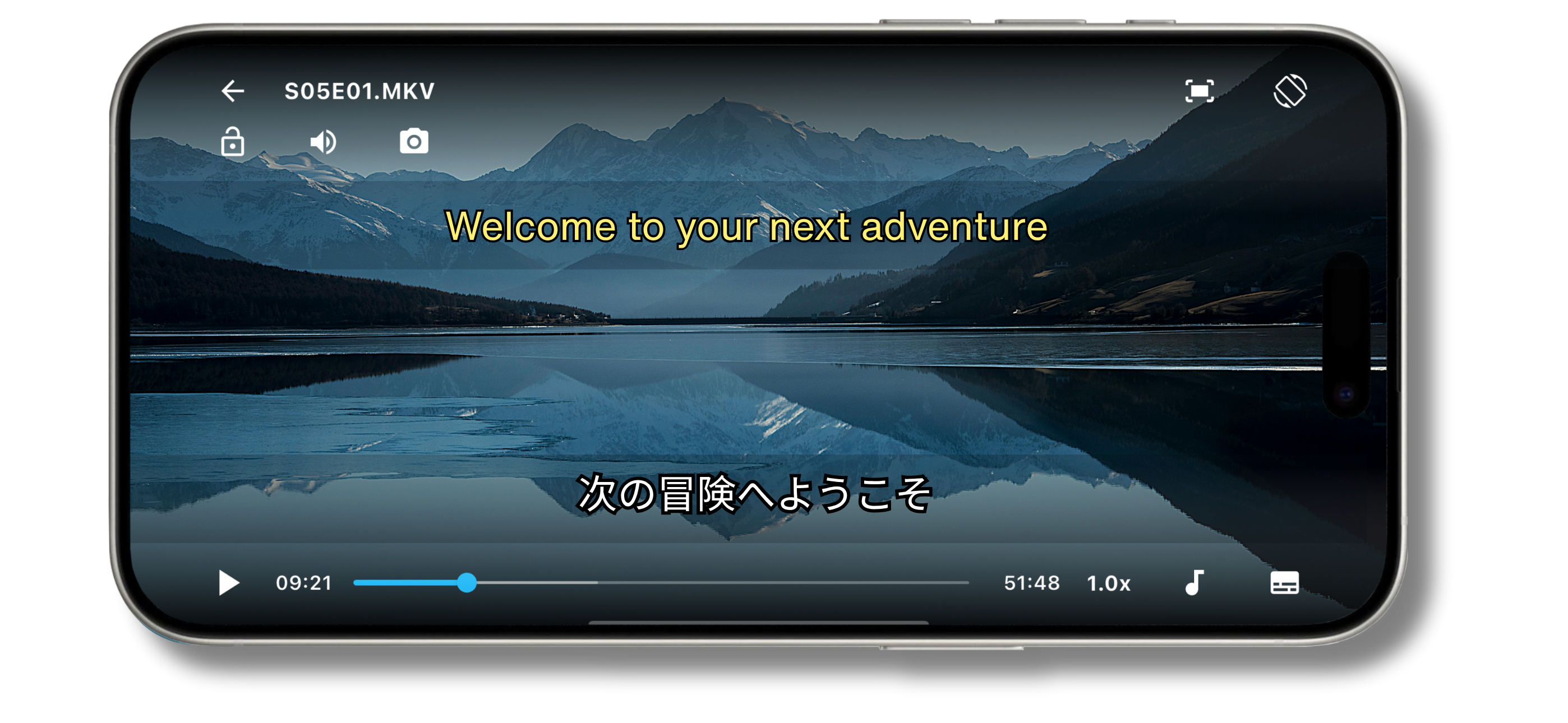 App screenshot showing dual subtitles